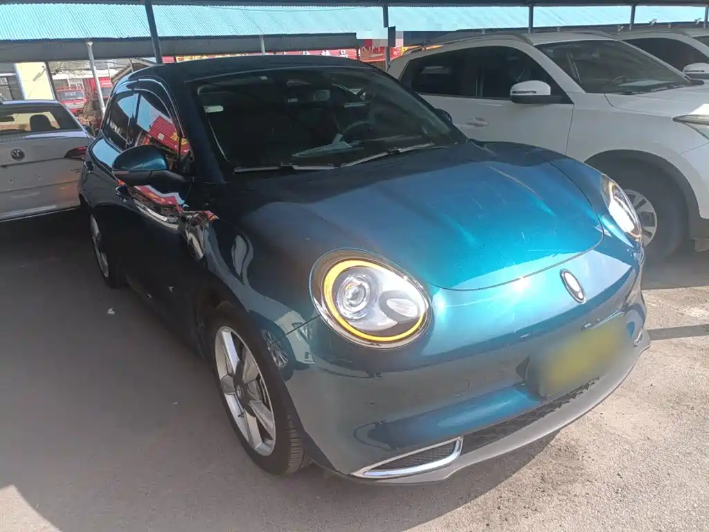 Euler Good Cat 2023 model 401km standard battery life luxury model lithium iron phosphate купить на сайте DeffCars