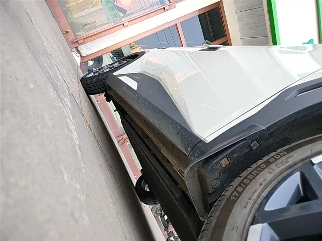 Seagull 2025 305km Free Edition купить на сайте DeffCars