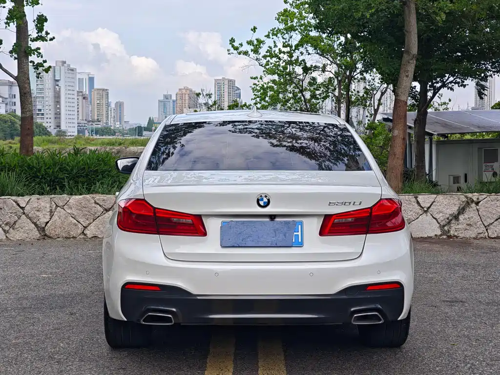 BMW 5 Series 2019 facelift 530Li leading M sports package купить на сайте DeffCars