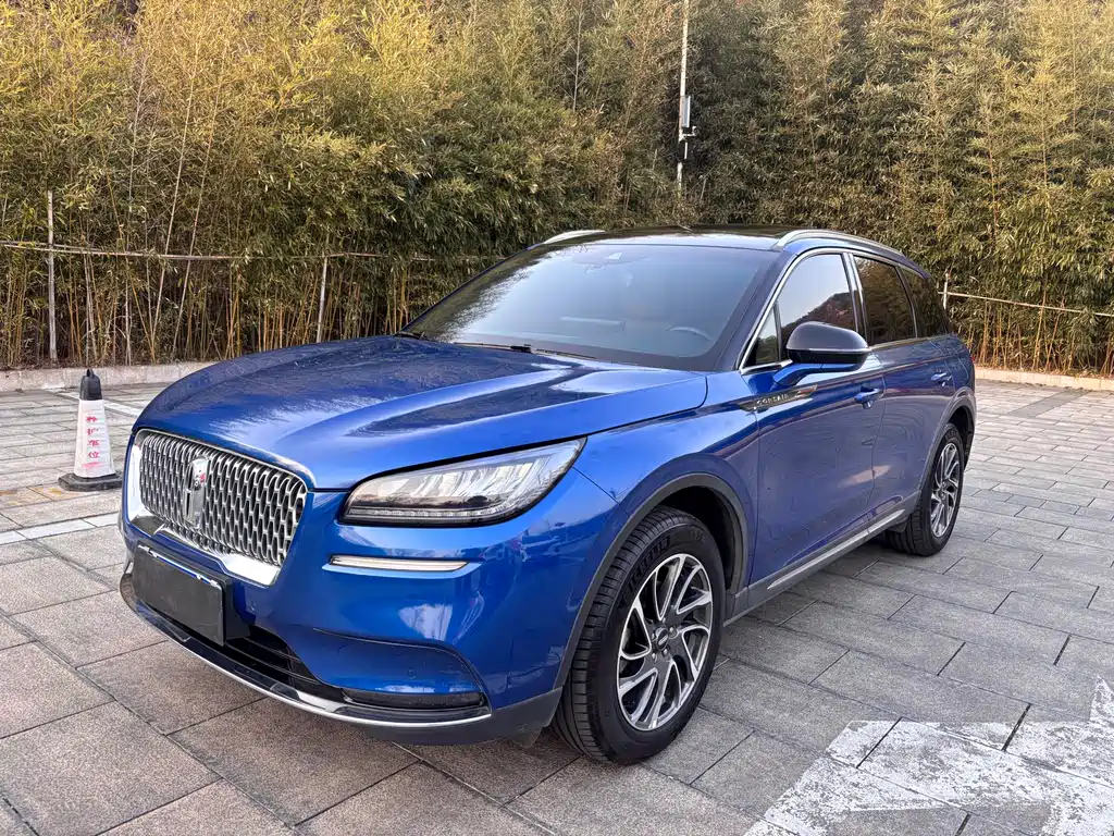 Adventurer 2021 2.0T Two-wheel drive Premium Edition купить на сайте DeffCars