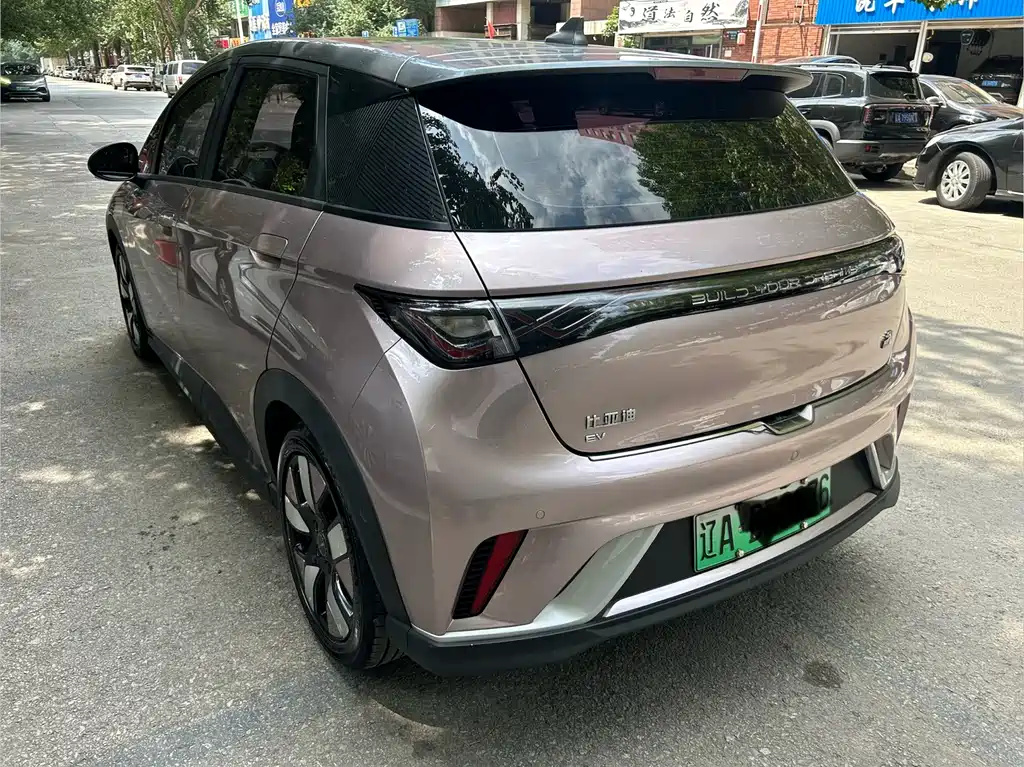Dolphin 2021 401km Rider Edition купить на сайте DeffCars