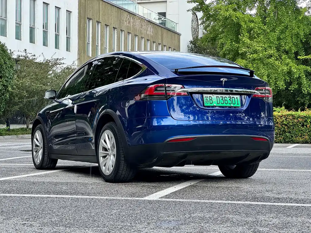 Model X 2020 long battery life upgraded version купить на сайте DeffCars