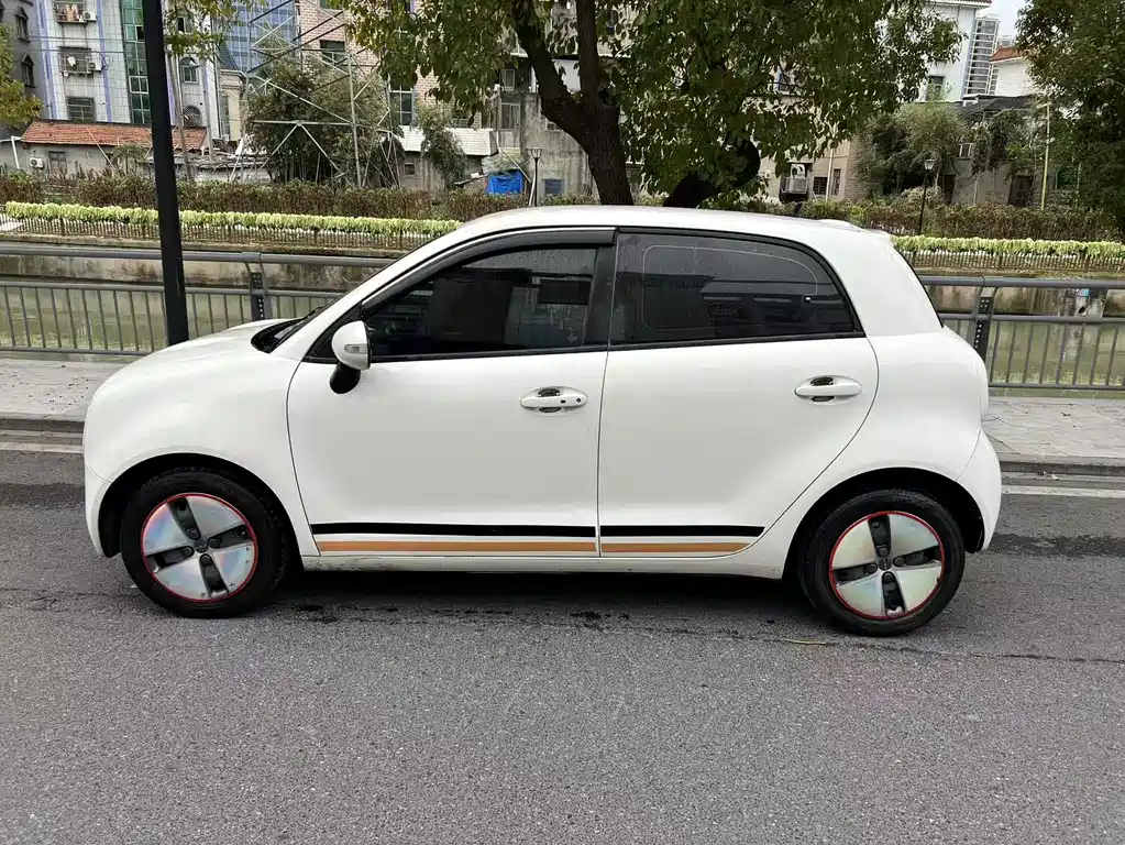 Euler Black Cat 2021 301km basic model купить на сайте DeffCars