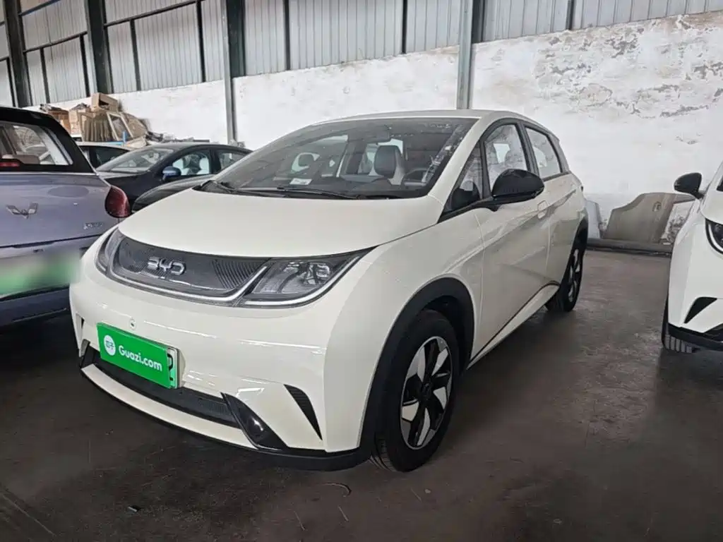 Dolphin 2025 420km Free Edition купить на сайте DeffCars