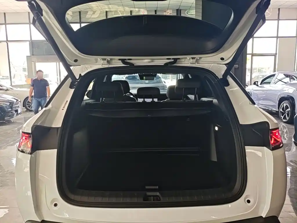 Song L DM-i 2025 smart driving version 160km excellent model купить на сайте DeffCars