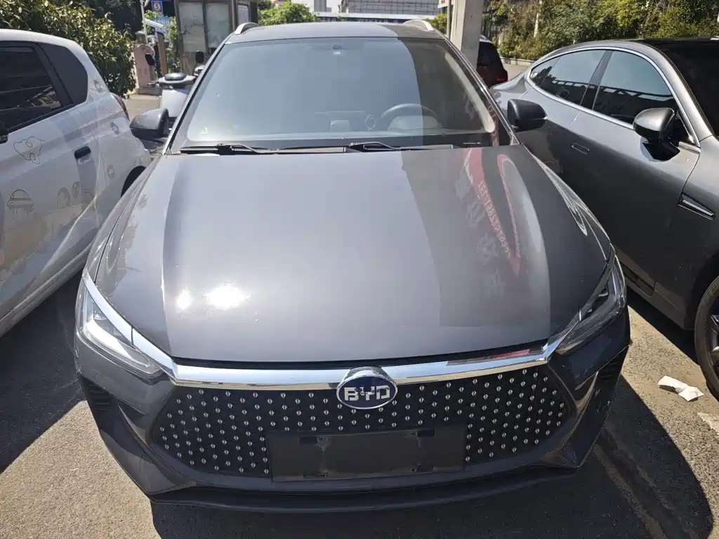 BYD e2 2019 High Endurance Edition Yao·Luxury купить на сайте DeffCars