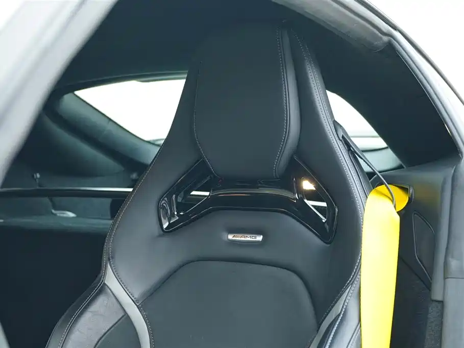 AMG GT 2019 AMG GT R PRO купить на сайте DeffCars