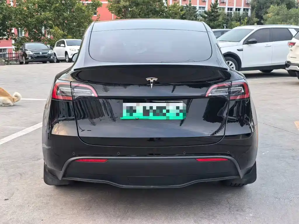 Model Y 2021 standard range rear-wheel drive version купить на сайте DeffCars