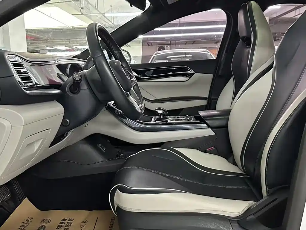 Qin PLUS 2021 EV 500KM luxury model купить на сайте DeffCars