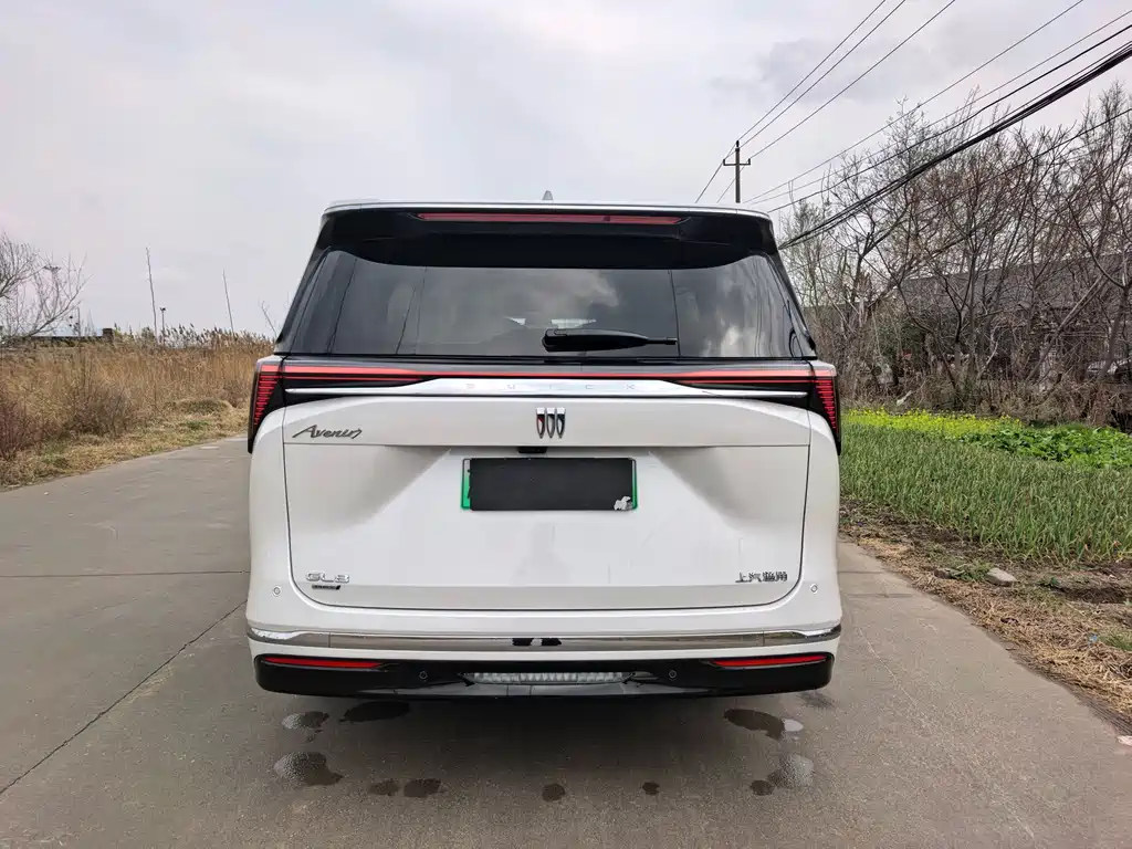 Buick GL8 New Energy 2024 Lu Zun Luxury Edition 6 seats купить на сайте DeffCars
