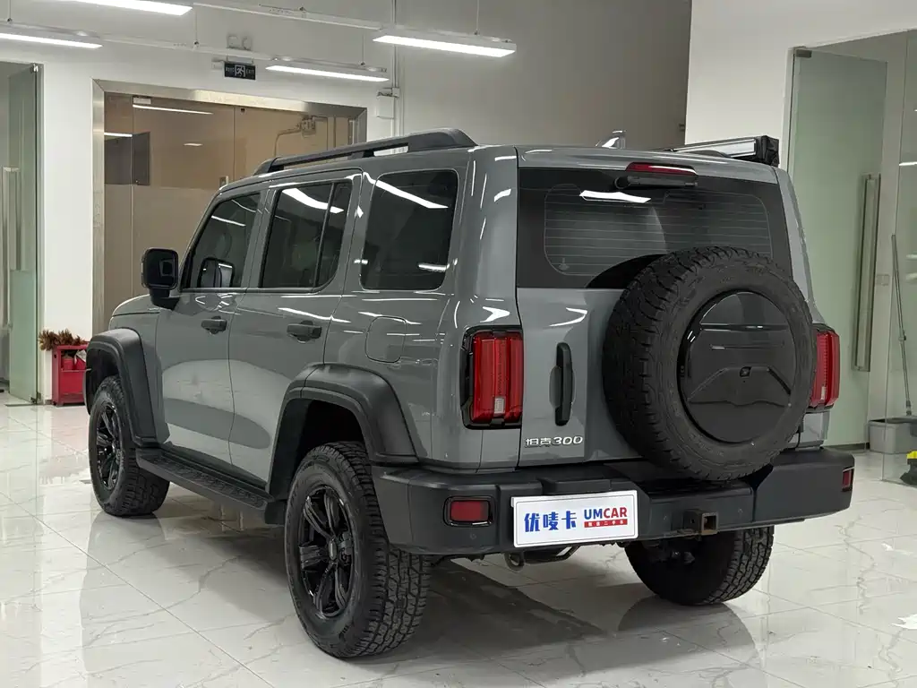Tank 300 2021 Off-Road Version 2.0T Conqueror купить на сайте DeffCars