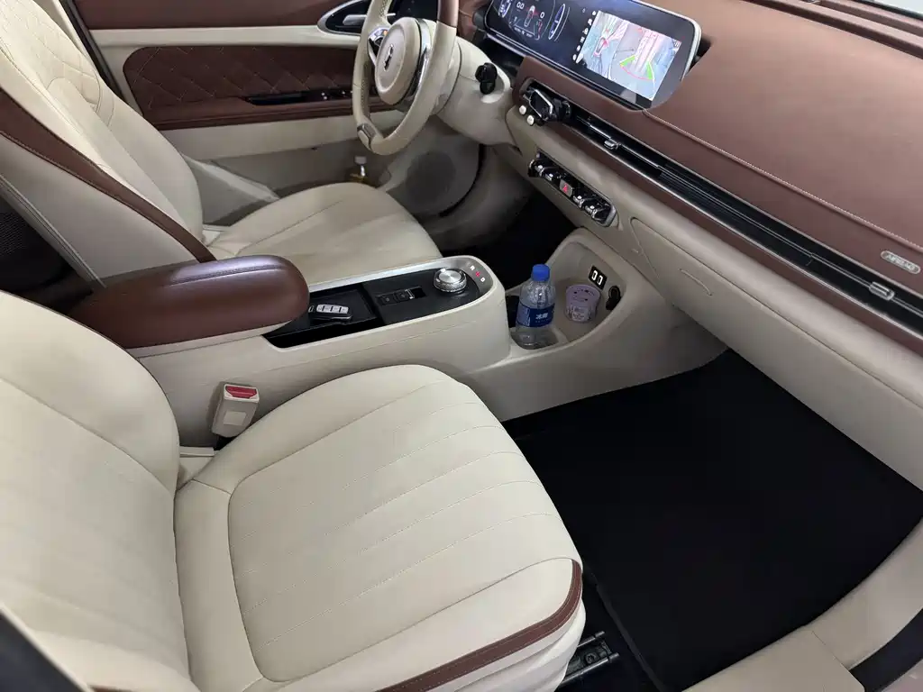 Euler Good Cat 2021 model 400km standard battery life Venus version ternary lithium купить на сайте DeffCars
