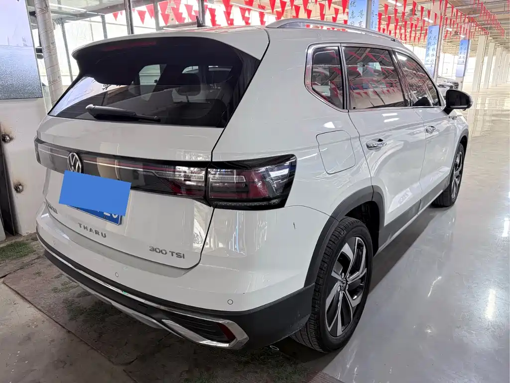 Tuyue 2023 300TSI two-wheel drive full moon version купить на сайте DeffCars