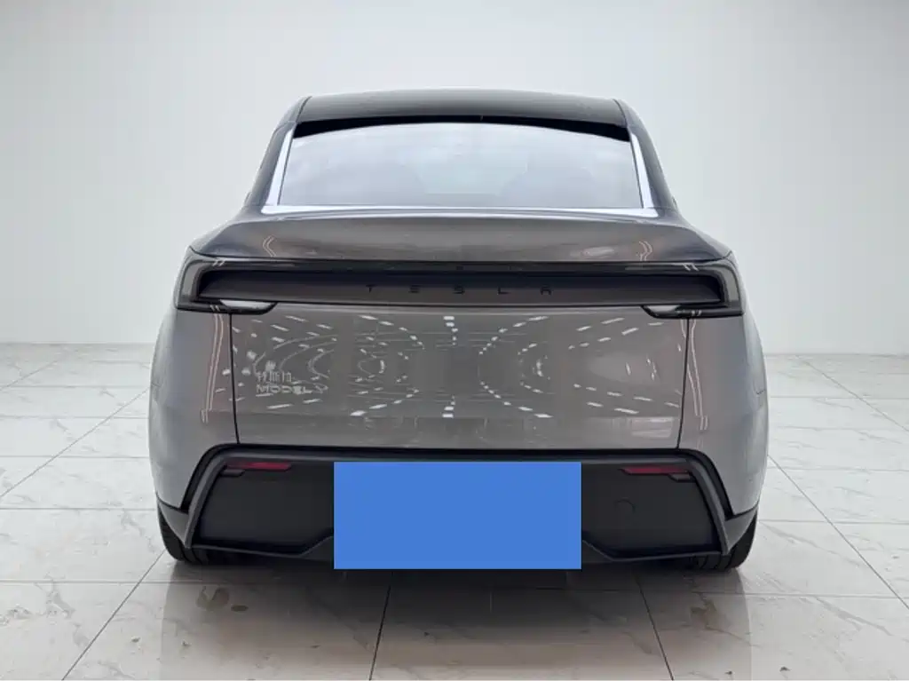 Model Y 2025 rear-wheel drive version купить на сайте DeffCars