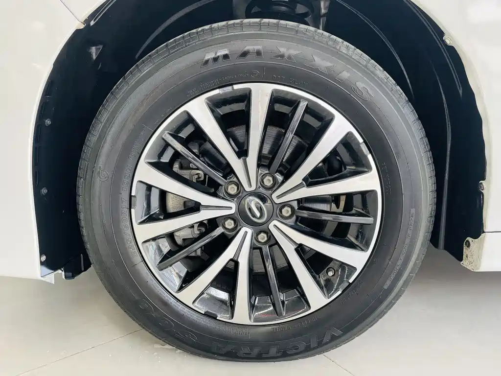 Trumpchi M8 2021 Lead Show Series 390T Exclusive Edition купить на сайте DeffCars