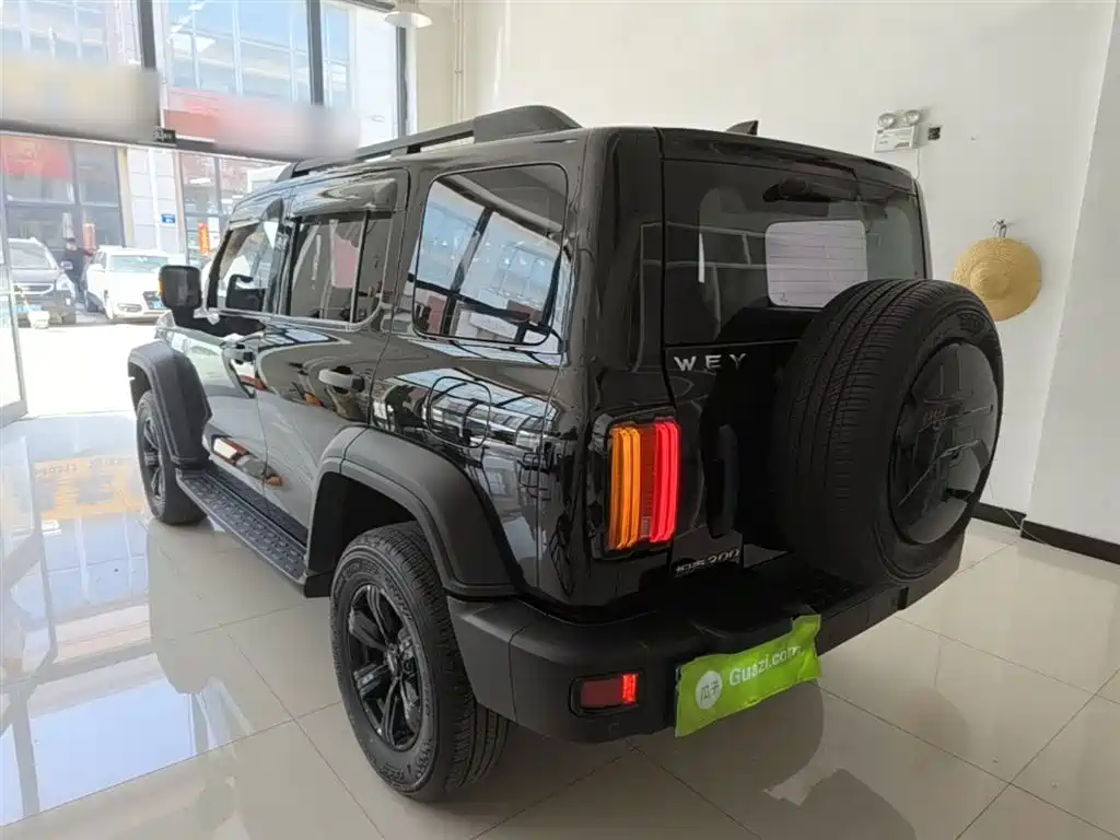 Tank 300 2021 Off-Road Version 2.0T Conqueror купить на сайте DeffCars