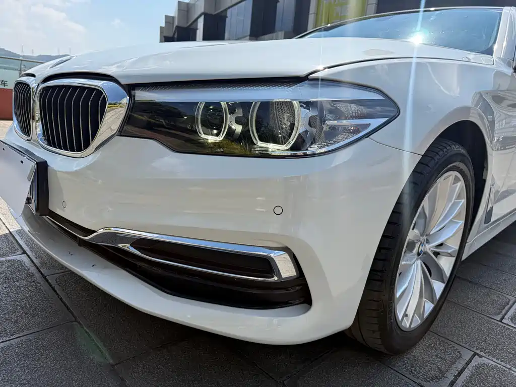 BMW 5 Series 2019 530Li Leading Luxury Package купить на сайте DeffCars