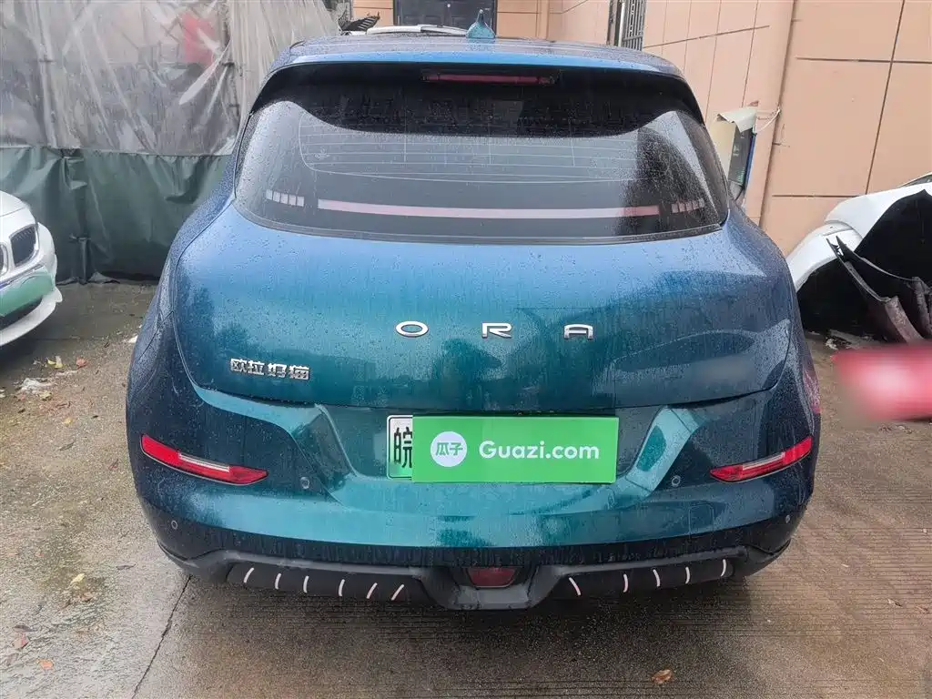 Euler Good Cat 2023 model 401km standard battery life luxury model lithium iron phosphate купить на сайте DeffCars