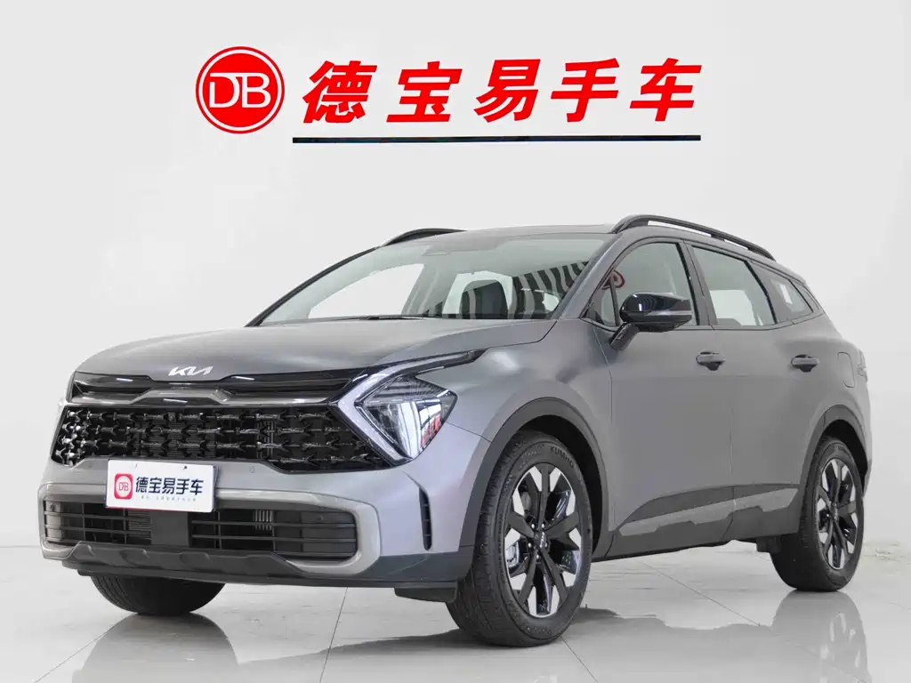 Lion Expands the World 2023 2.0T Two-wheel Drive Flagship Edition купить на сайте DeffCars