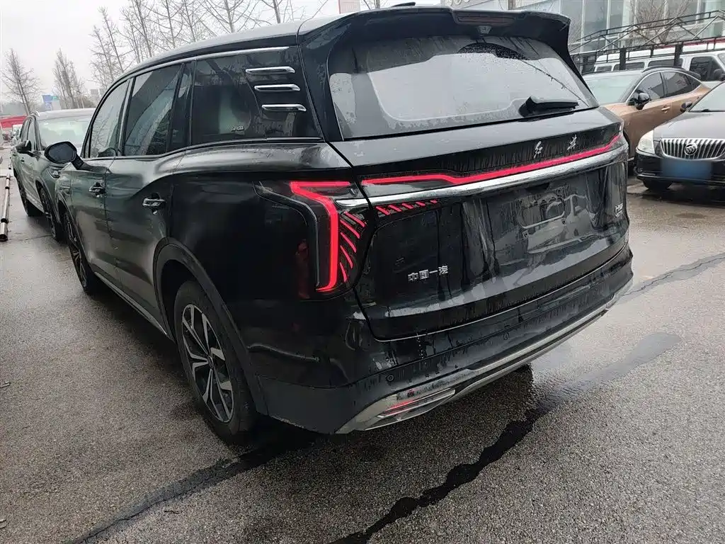 Hongqi HS7 2024 2.0T automatic two-wheel drive Qiyue version, five seats купить на сайте DeffCars