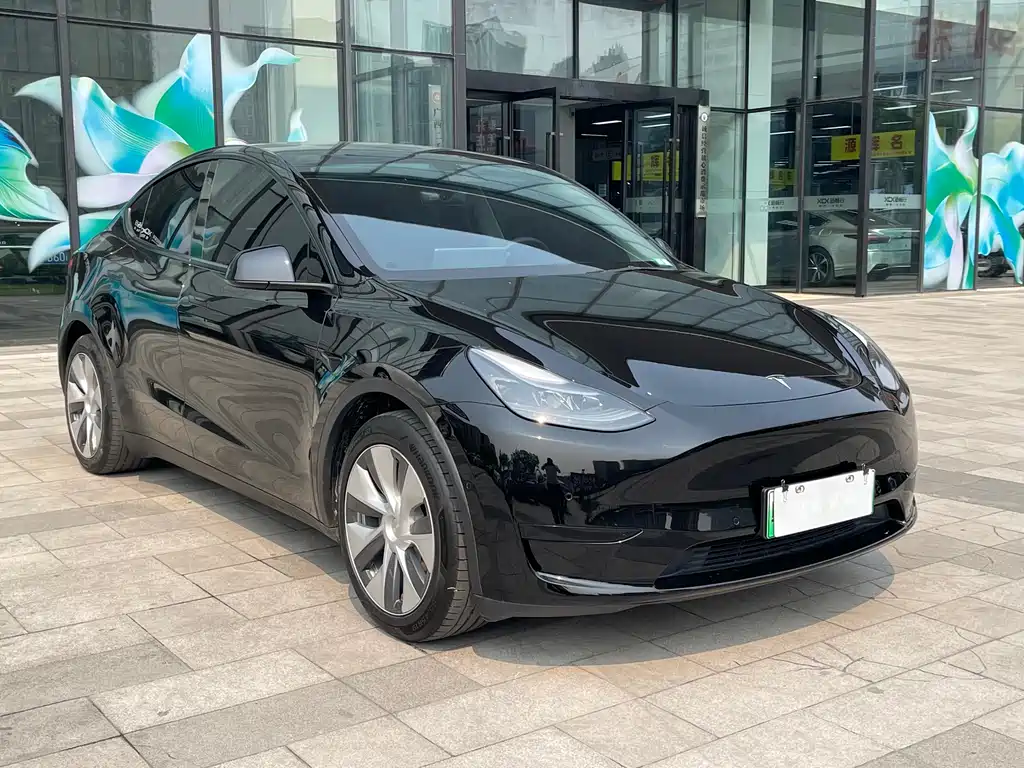 Model Y 2022 rear-wheel drive version купить на сайте DeffCars