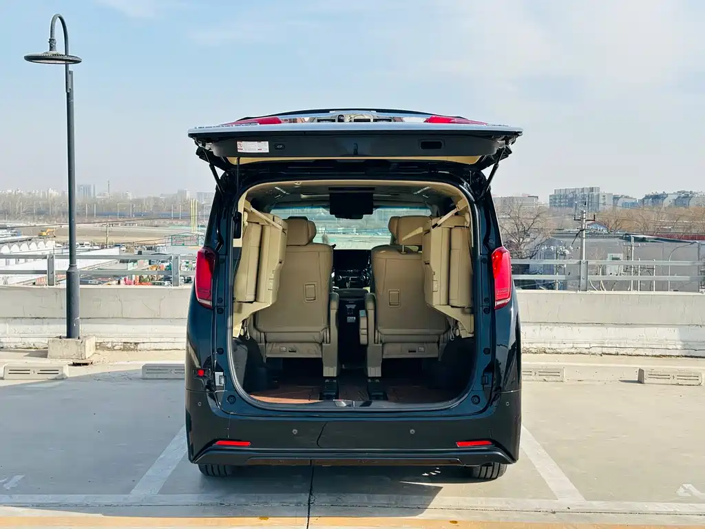 Alfa 2021 Dual Engine 2.5L Deluxe Edition купить на сайте DeffCars