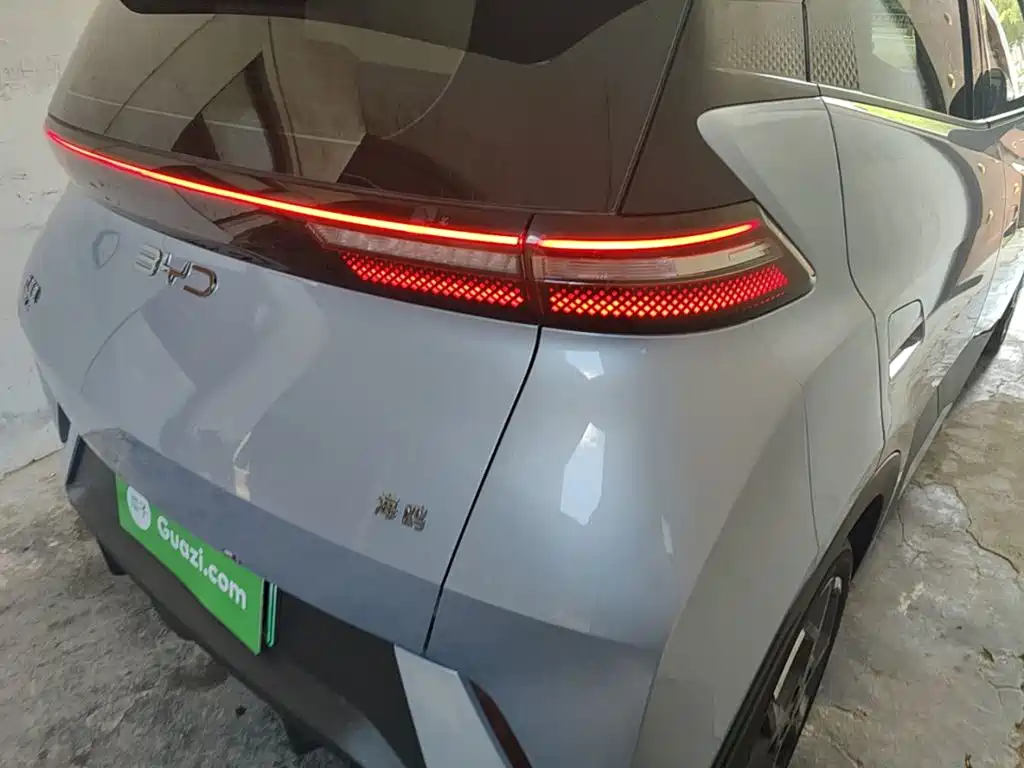 Seagull 2024 Honor Edition 305km Free Edition купить на сайте DeffCars