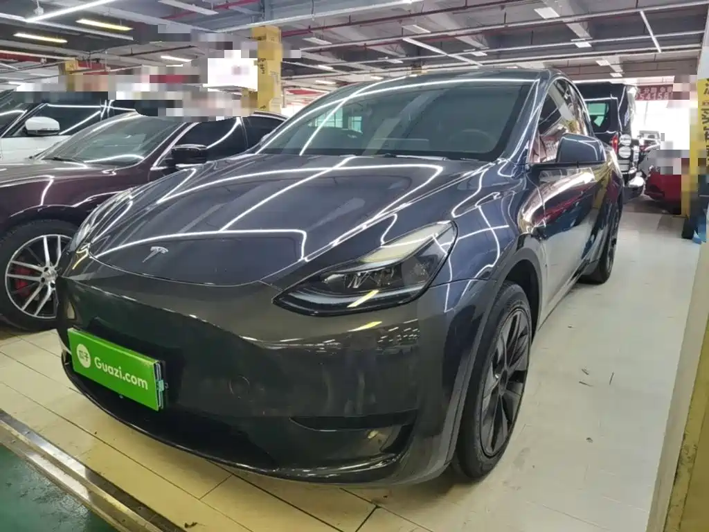 Model Y 2024 rear-wheel drive version купить на сайте DeffCars