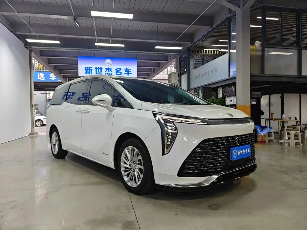 Century 2023 2.0T Six-seater Yuanshi Edition купить на сайте DeffCars