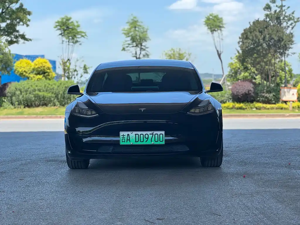 Model 3 2020 Standard Range Rear Drive Upgraded Version купить на сайте DeffCars