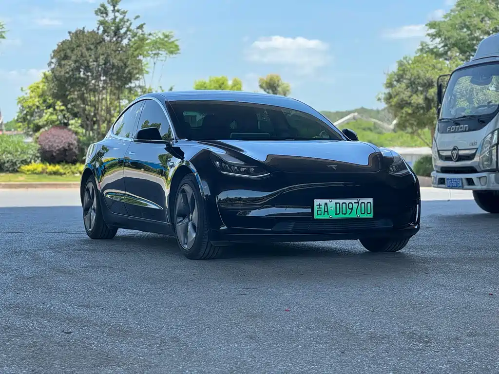 Model 3 2020 Standard Range Rear Drive Upgraded Version купить на сайте DeffCars