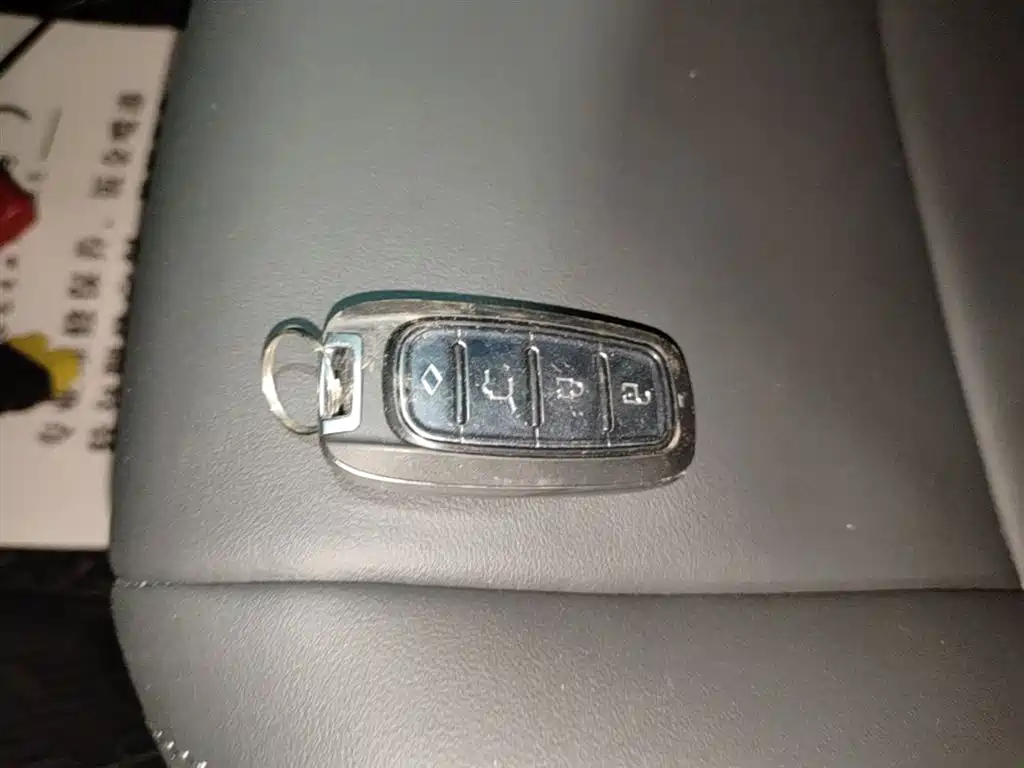 Fenglanda 2023 2.0L CVT leading version купить на сайте DeffCars