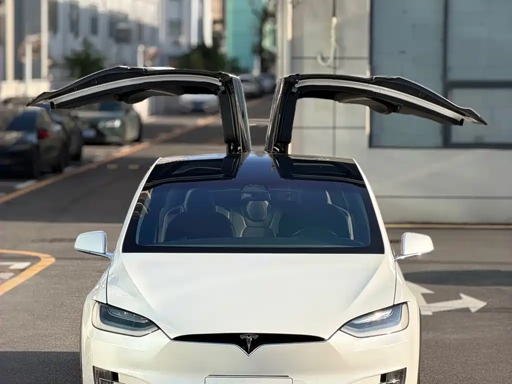 Model X 2019款 长续航版 купить на сайте DeffCars