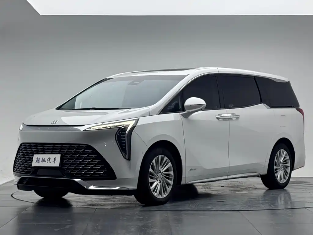 Century 2023 2.0T Six-seater Yuanshi Edition купить на сайте DeffCars