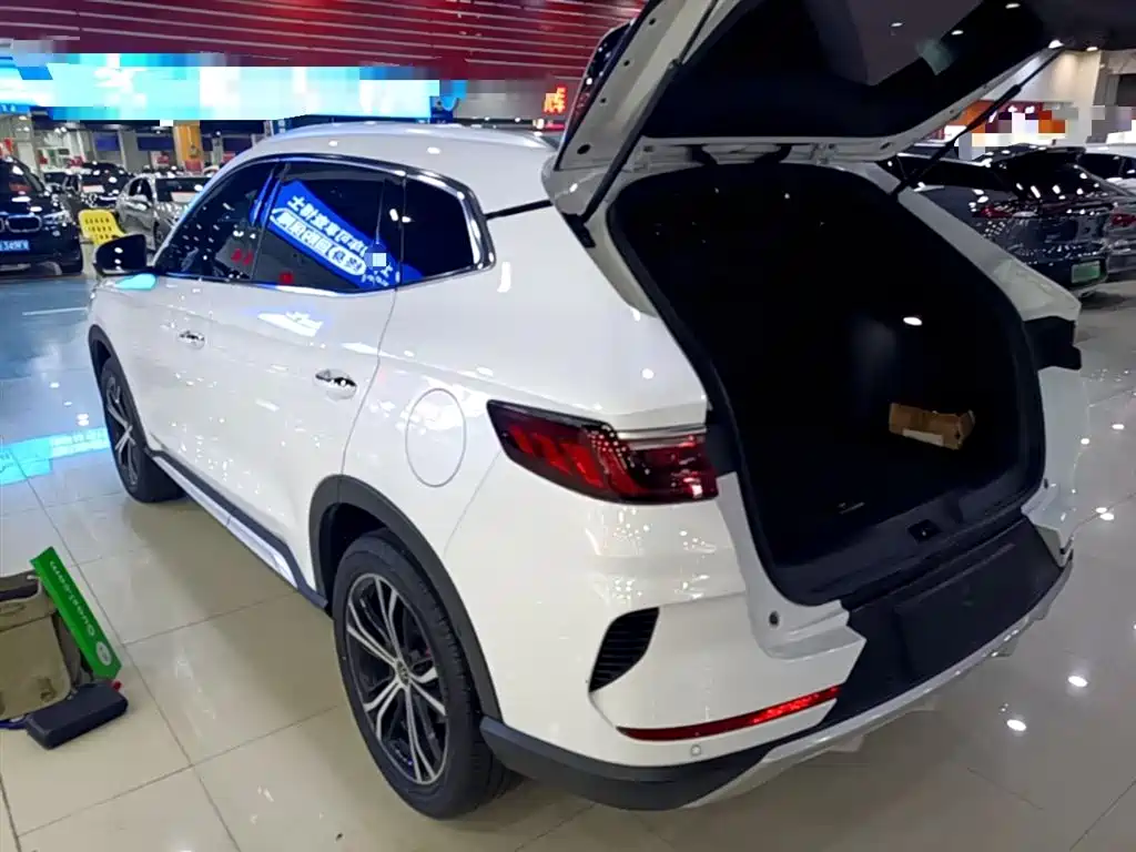 Song PLUS 2020 1.5T automatic premium model купить на сайте DeffCars