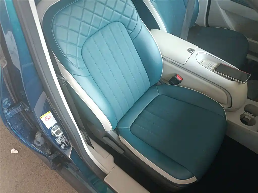 Euler Good Cat 2023 model 401km standard battery life luxury model lithium iron phosphate купить на сайте DeffCars
