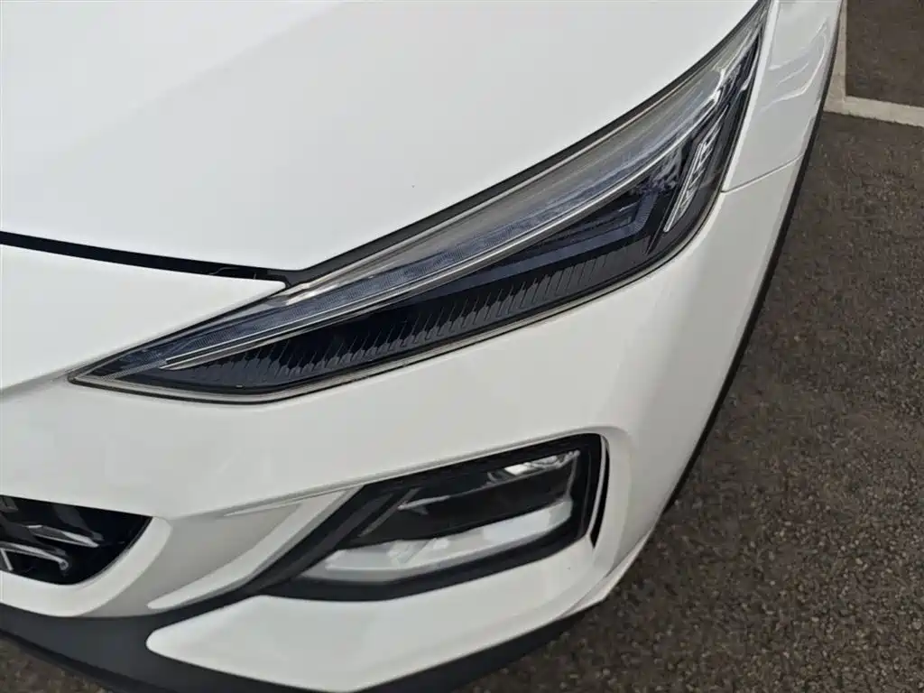 Sihao X8 2021 model 300T DCT luxury intelligent version 7 seats купить на сайте DeffCars