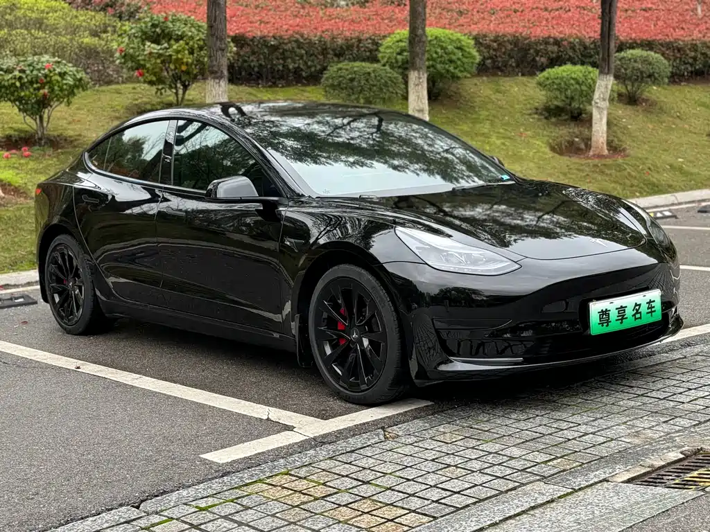 Model 3 2022 rear-wheel drive version купить на сайте DeffCars