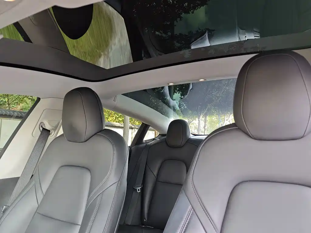 Model 3 2020 facelift standard range rear drive upgraded version купить на сайте DeffCars