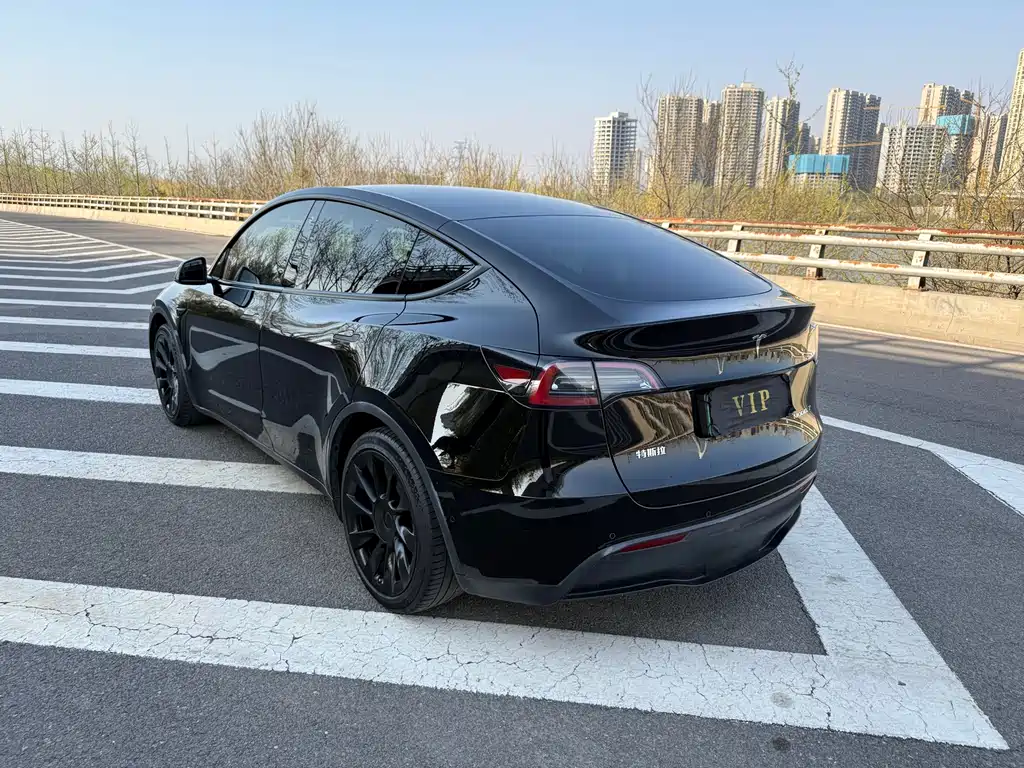 Model Y 2021 standard range rear-wheel drive version купить на сайте DeffCars