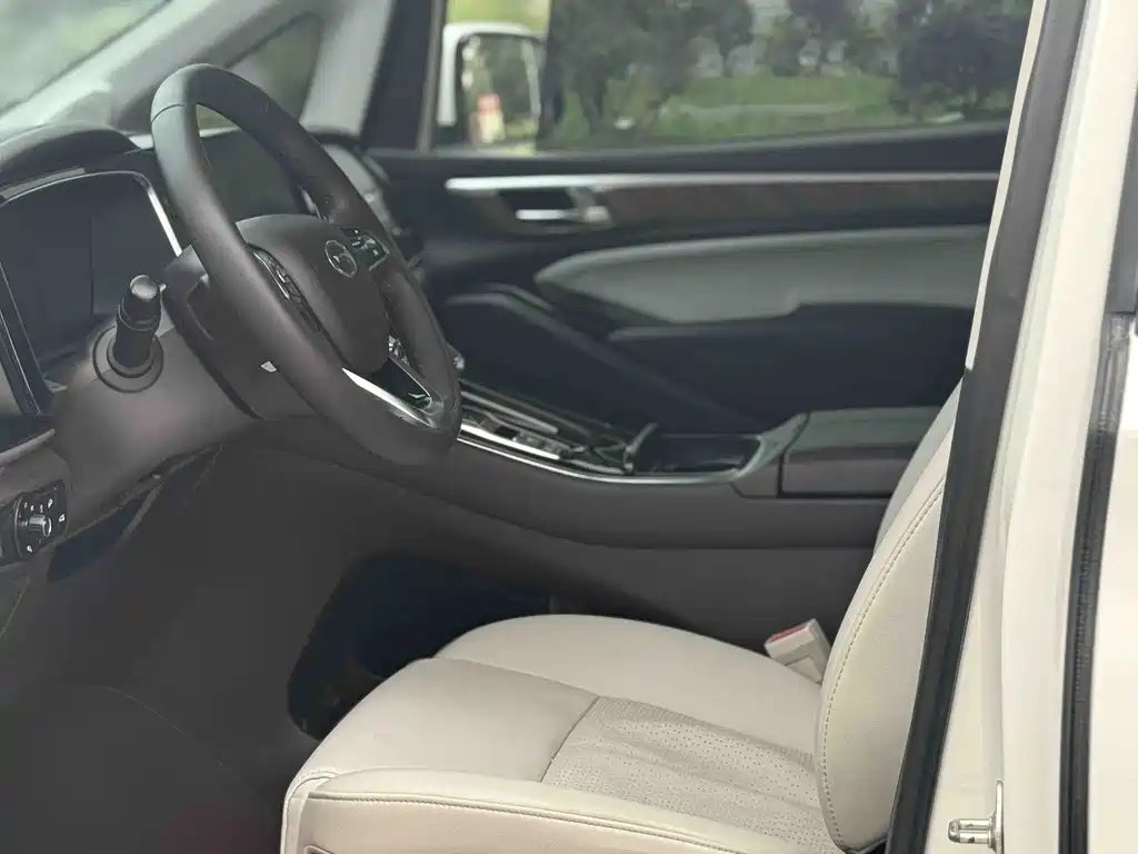 Trumpchi M8 2021 Lead Show Series 390T Exclusive Edition купить на сайте DeffCars