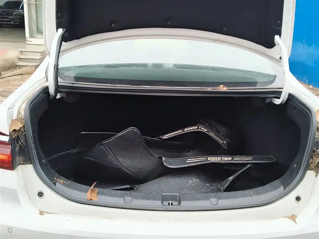 Qin 2019 1.5L automatic premium model купить на сайте DeffCars