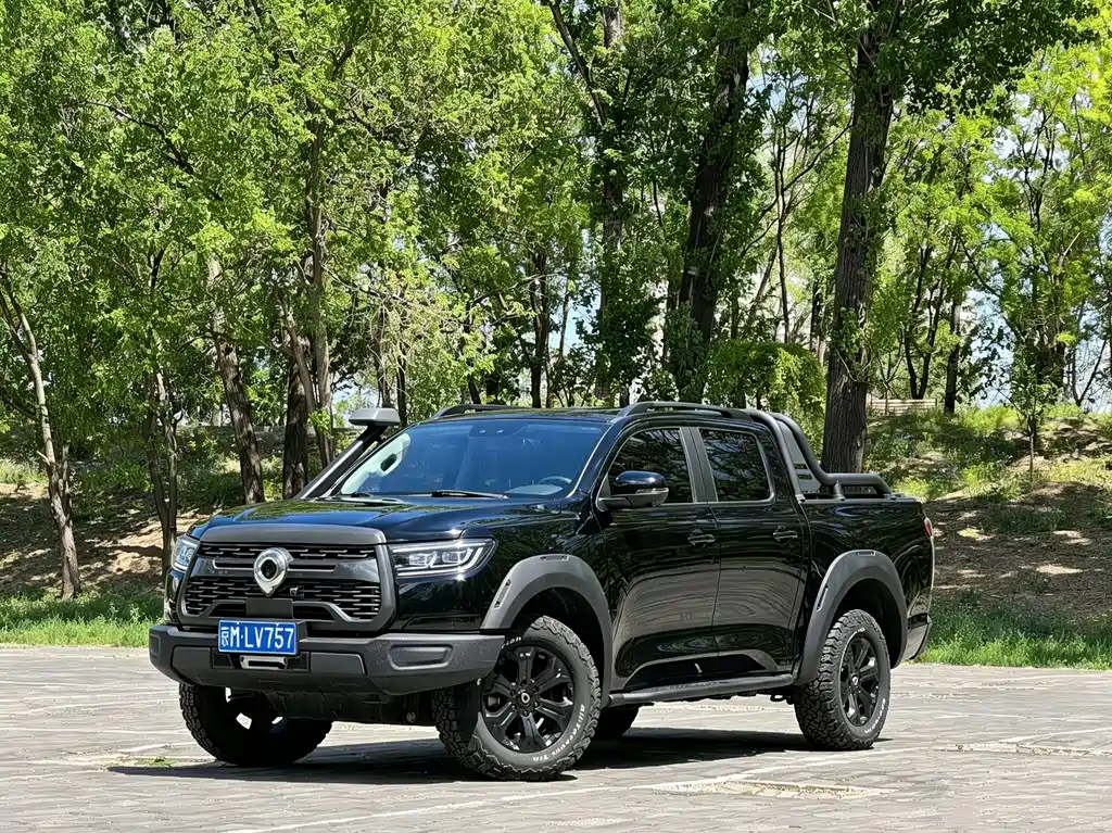 Cannon 2020 2.0T off-road version automatic gasoline four-wheel drive limited edition GW4C20B купить на сайте DeffCars
