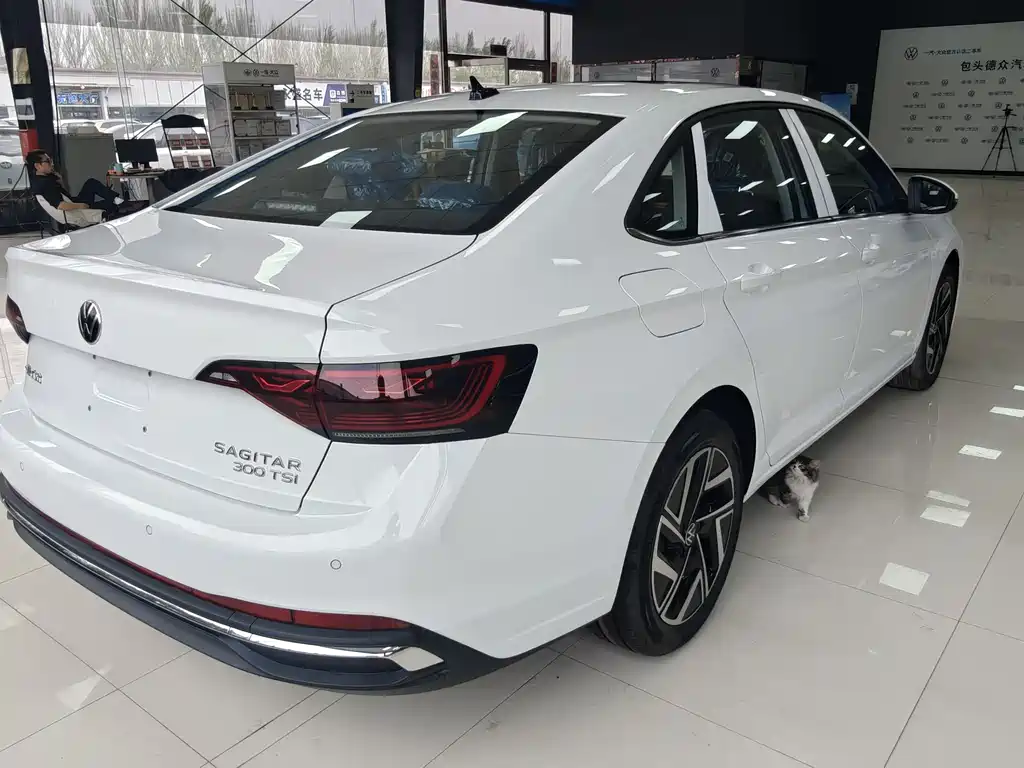 Sagitar 2025 300TSI DSG Flyover Edition купить на сайте DeffCars