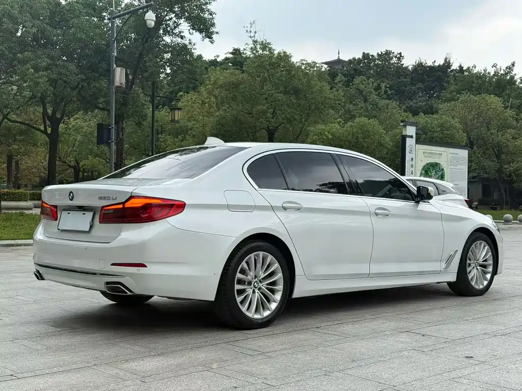 BMW 5 Series 2019 530Li Leading Luxury Package купить на сайте DeffCars