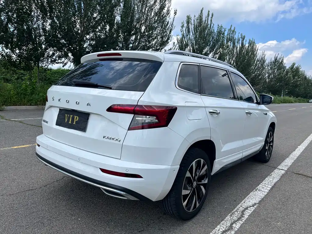 Korok 2022 TSI280 Luxury Edition купить на сайте DeffCars