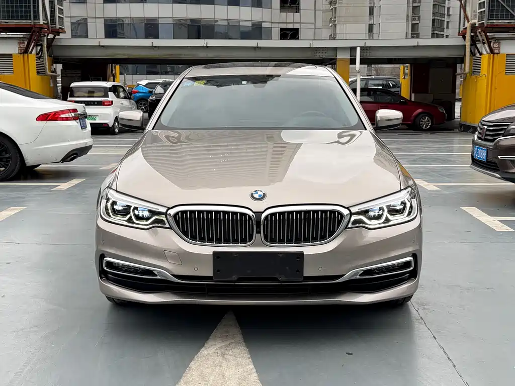 BMW 5 Series 2019 530Li Exclusive Luxury Package купить на сайте DeffCars