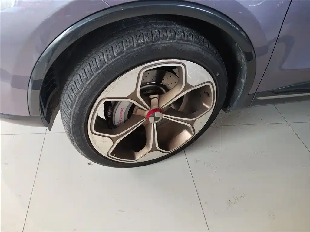 Denza X 2020 PHEV flagship version купить на сайте DeffCars
