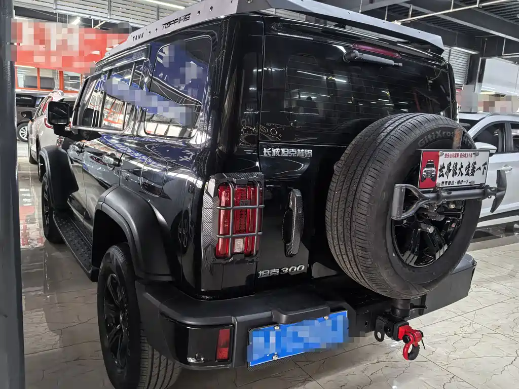 Tank 300 2025 2.0T gasoline challenger купить на сайте DeffCars