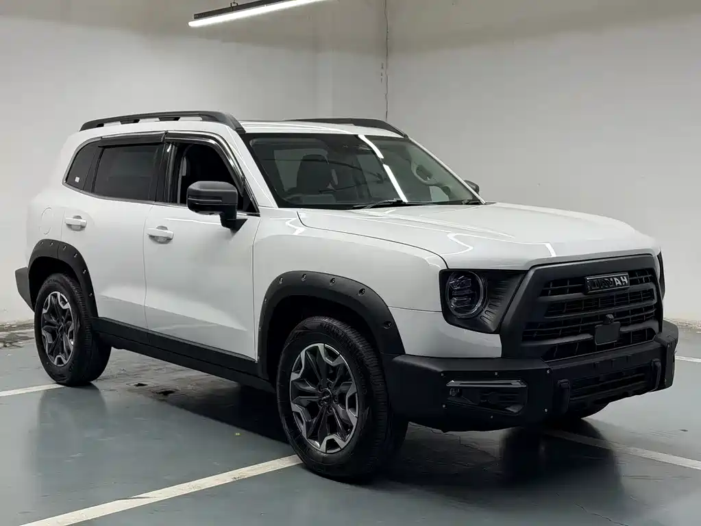 Havaldog 2022 2.0T DCT four-wheel drive Chinese pastoral dog hunting version купить на сайте DeffCars